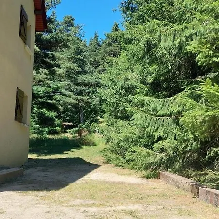 Tatil Evi Les Balcons Du Haut-forez Chalmazel-Jeansagniere